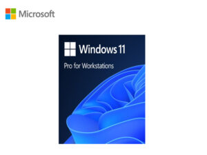 OEM Windows Pro HZV-00117